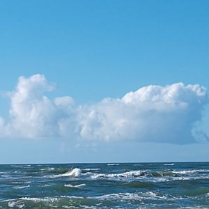 Meet your Posher, Sherry